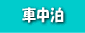 Ԓ